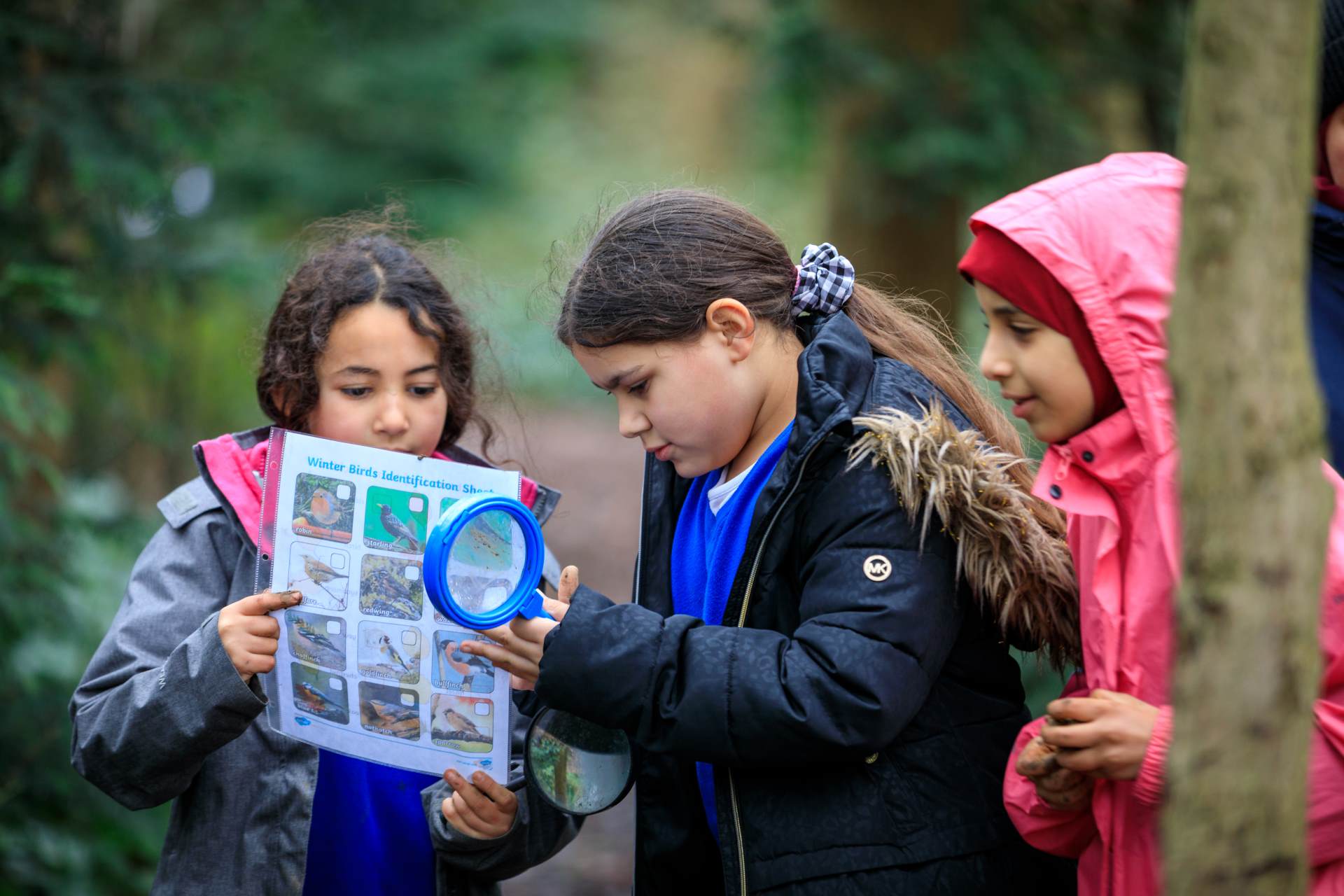 Forest school 